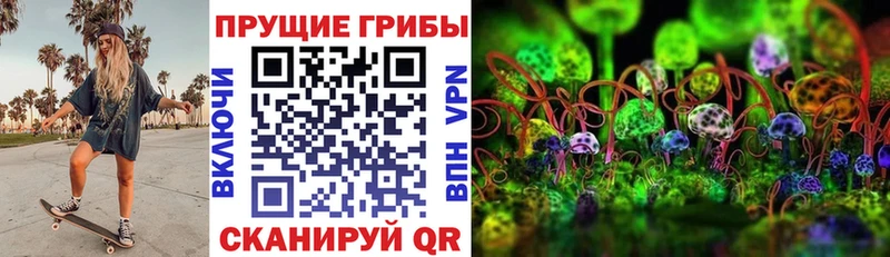 Псилоцибиновые грибы GOLDEN TEACHER  darknet наркотические препараты  Козельск  как найти  